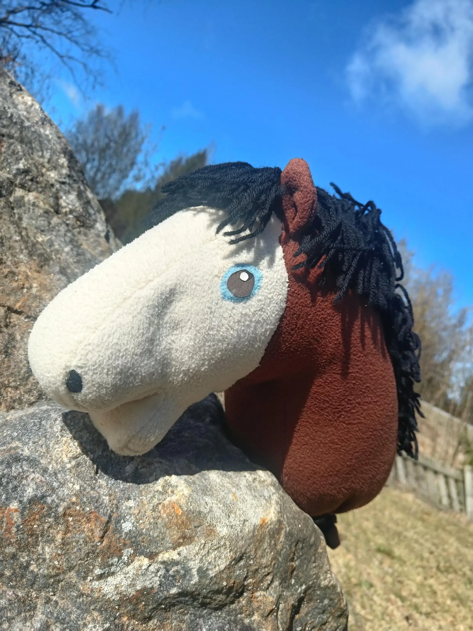 käpphäst