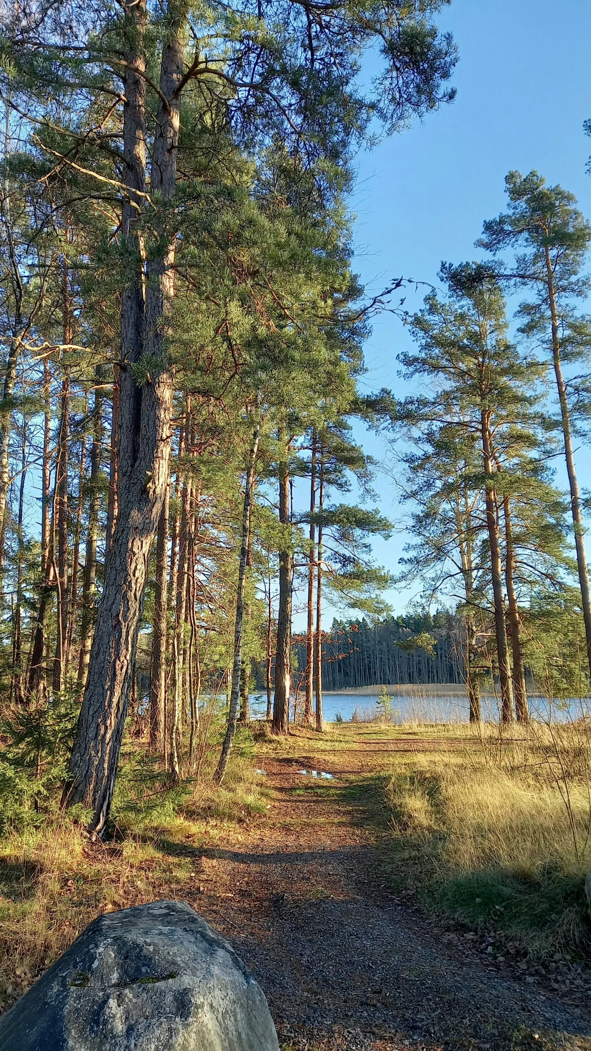 lördagsvandringar