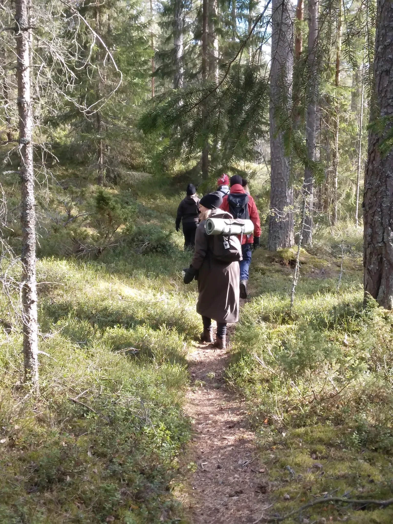 yoga och vandra