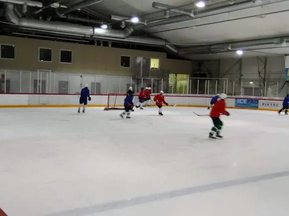Motionsishockey2